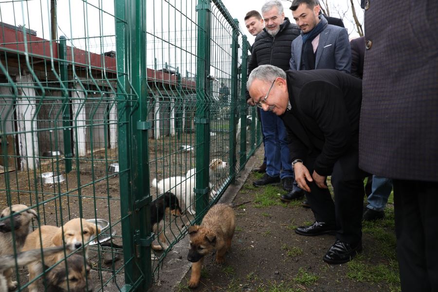 ÖZGÜR VE KONFORLULAR