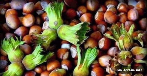 715 BİN TONUN ÜZERİNDE FINDIK İŞLEM GÖRDÜ