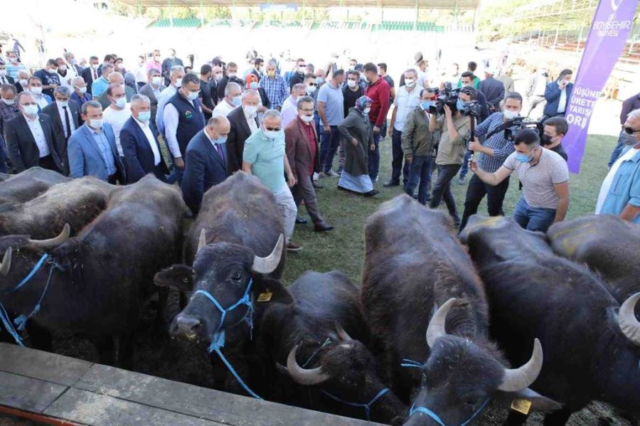 HAYVANCILIĞA TALEP ARTTI
