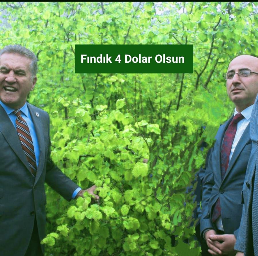 FINDIK 4 DOLAR OLMALI!