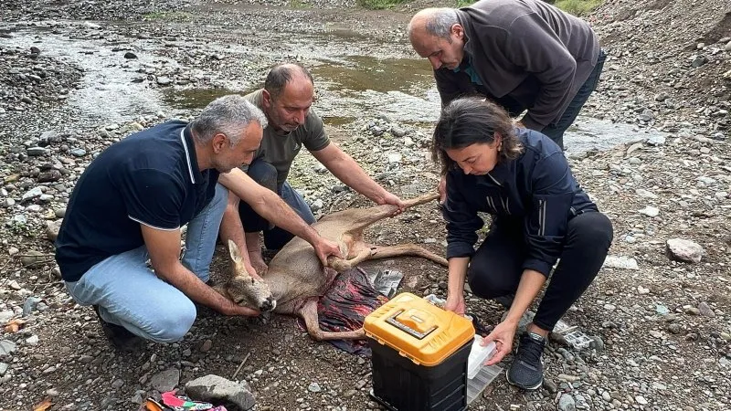 KARACAYI VATANDAŞLAR KURTARDI