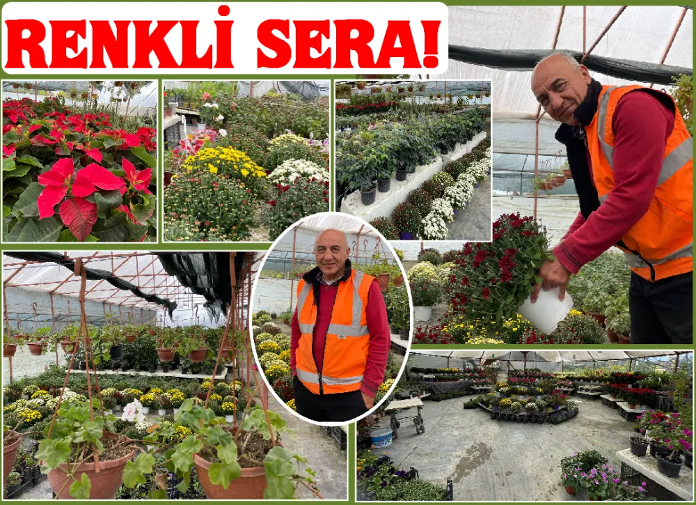 RENKLİ SERA!