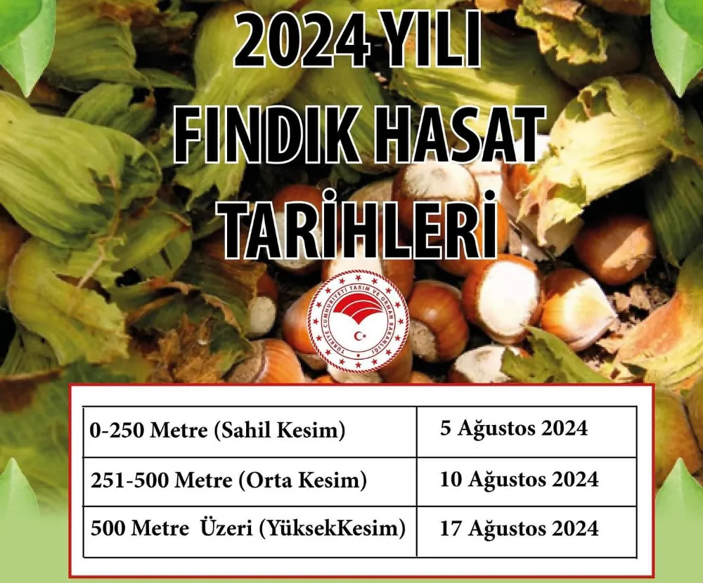 HASAT TARİHİ AÇIKLANDI! 