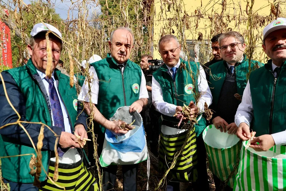 HASAT COŞKUSU!