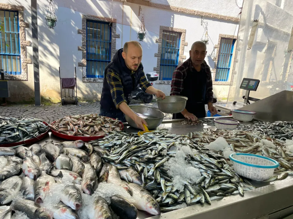 DENİZDEN SOFRAYA!