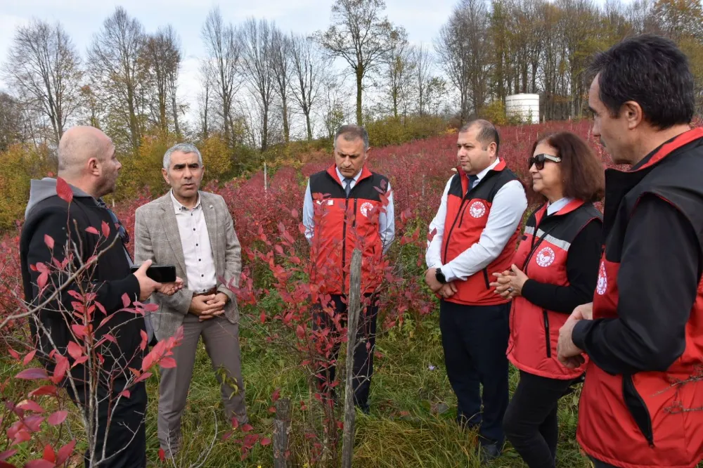 MAVİYEMİŞ ÜRETİCİSİNE ZİYARET