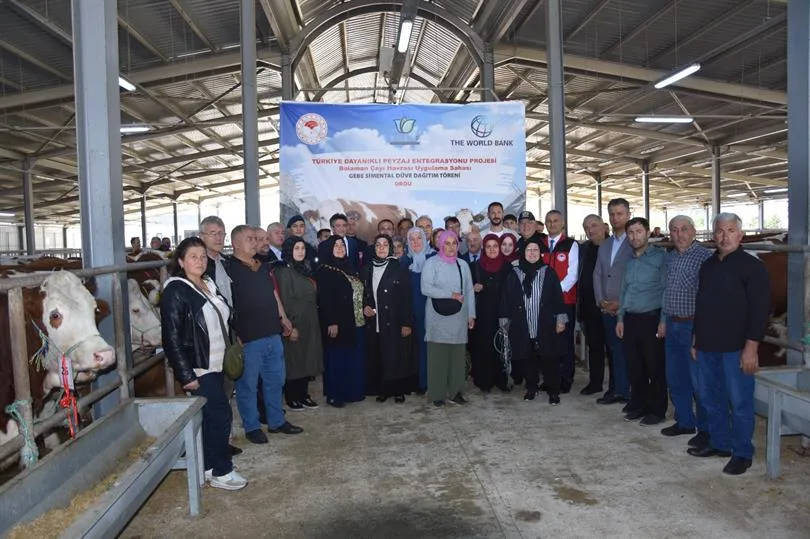 32 İŞLETMEYE GEBE DÜVE VERİLDİ!