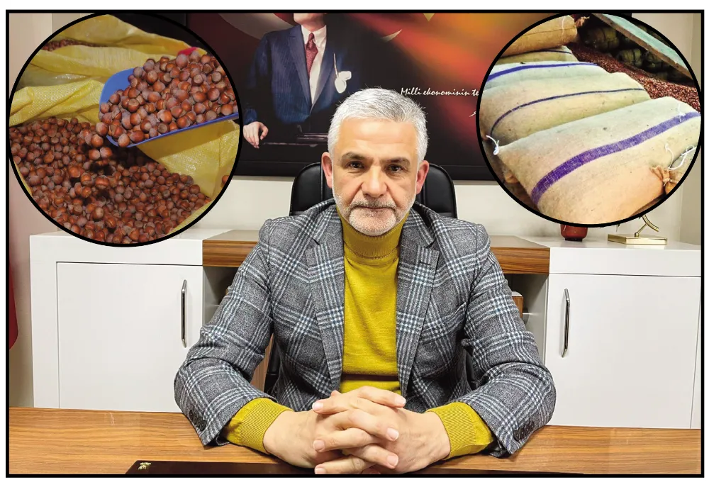 FINDIK FİYATLARI ERİYOR!