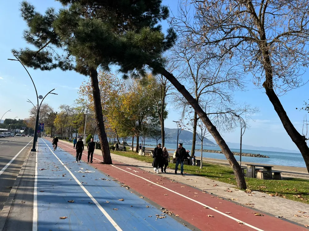 RİSKLİ AĞAÇLARA MÜDAHALE!