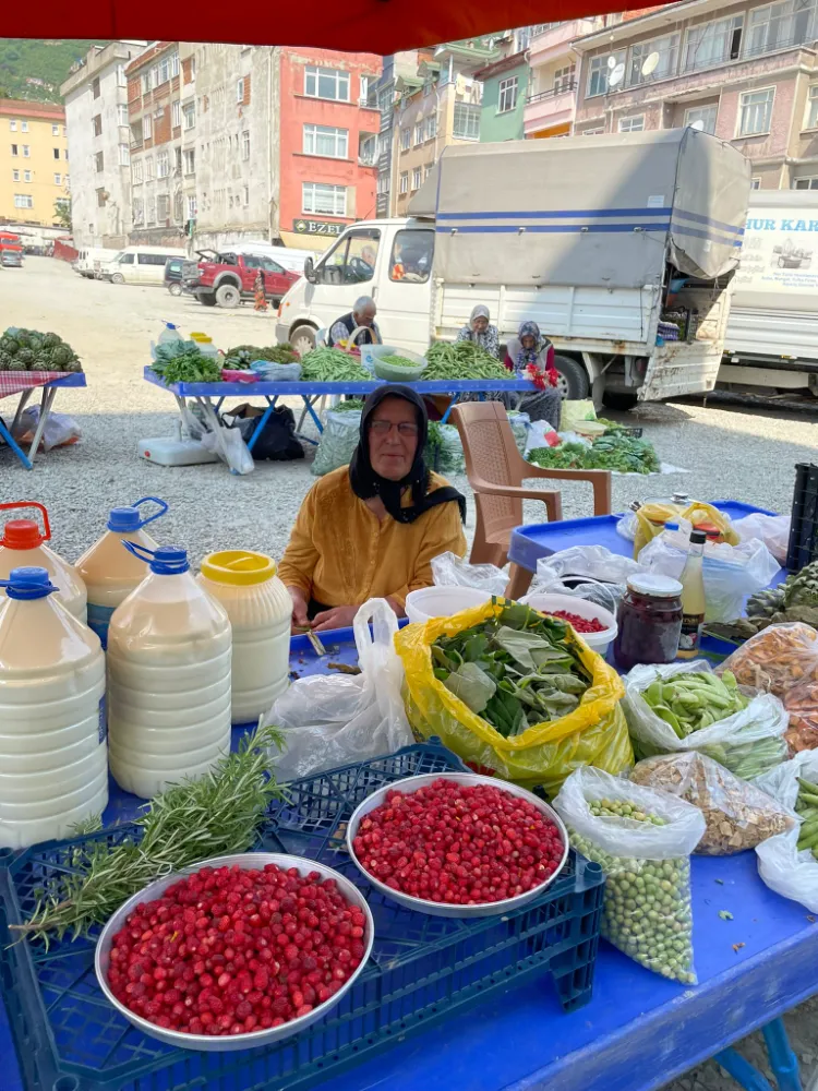 KIRMIZI ALTIN!