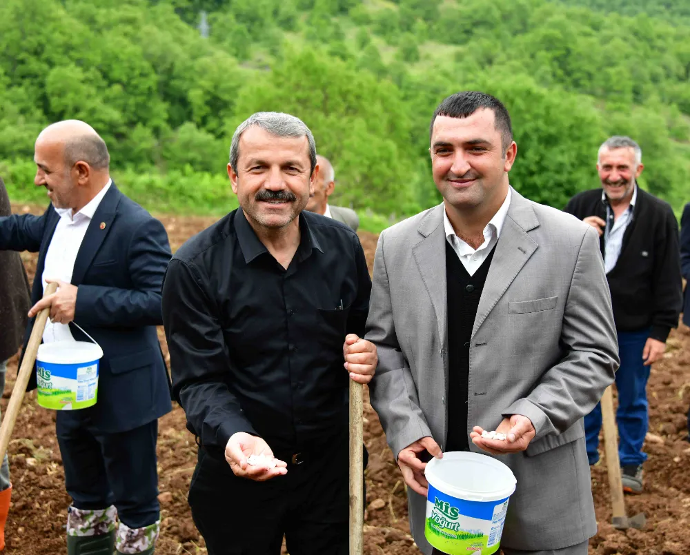 AKKUŞ’UN BEREKETİ, YENİDEN YEŞERİYOR!