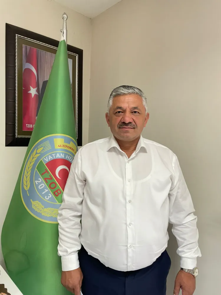 FINDIK DONDU, REKOLTE ERİDİ!