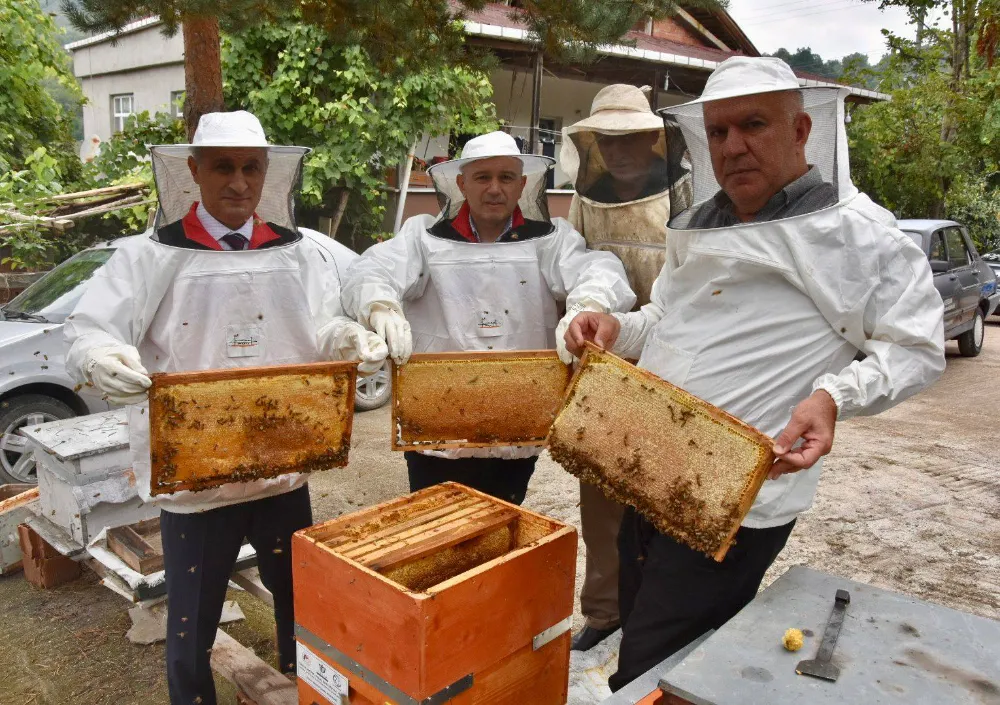 ORDU’DA ARICILIĞA DESTEK