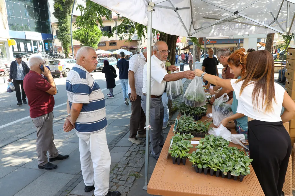 TOHUMDAN ÜRETTİ!