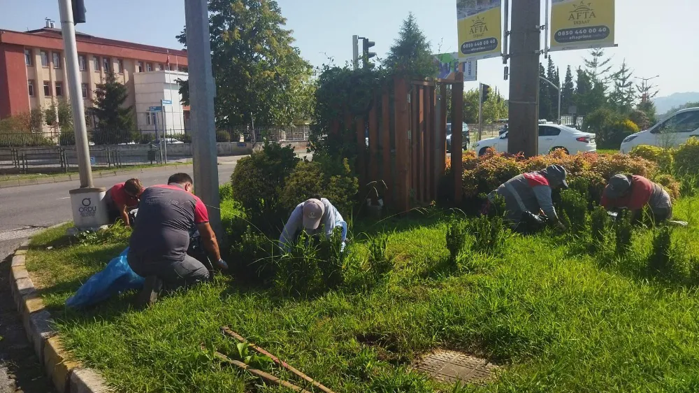 DÖRT MEVSİM CANLI!
