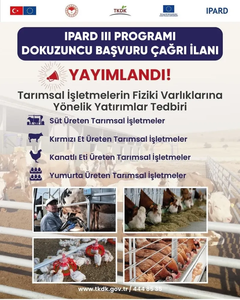 İLANA ÇIKTI!