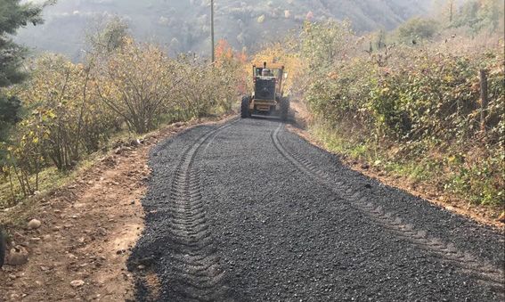 ENGELLİ VATANDAŞ İSTEDİ YOLU YAPILDI