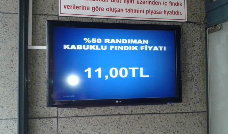 FINDIK FİYATI GÖRÜCÜYE ÇIKTI AMA!