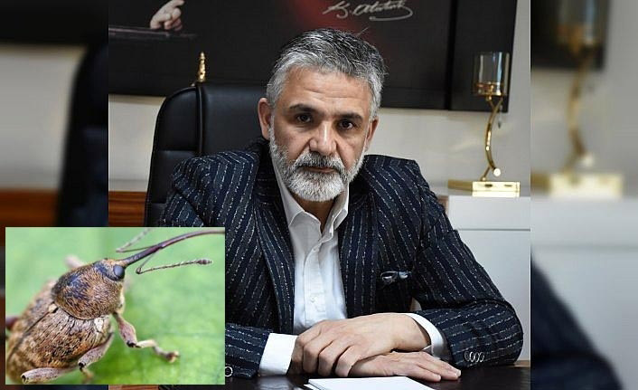 FINDIK KURDU?NA DİKKAT! 
